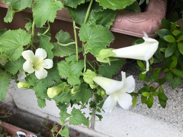 rblog-20180531150201-05.jpg