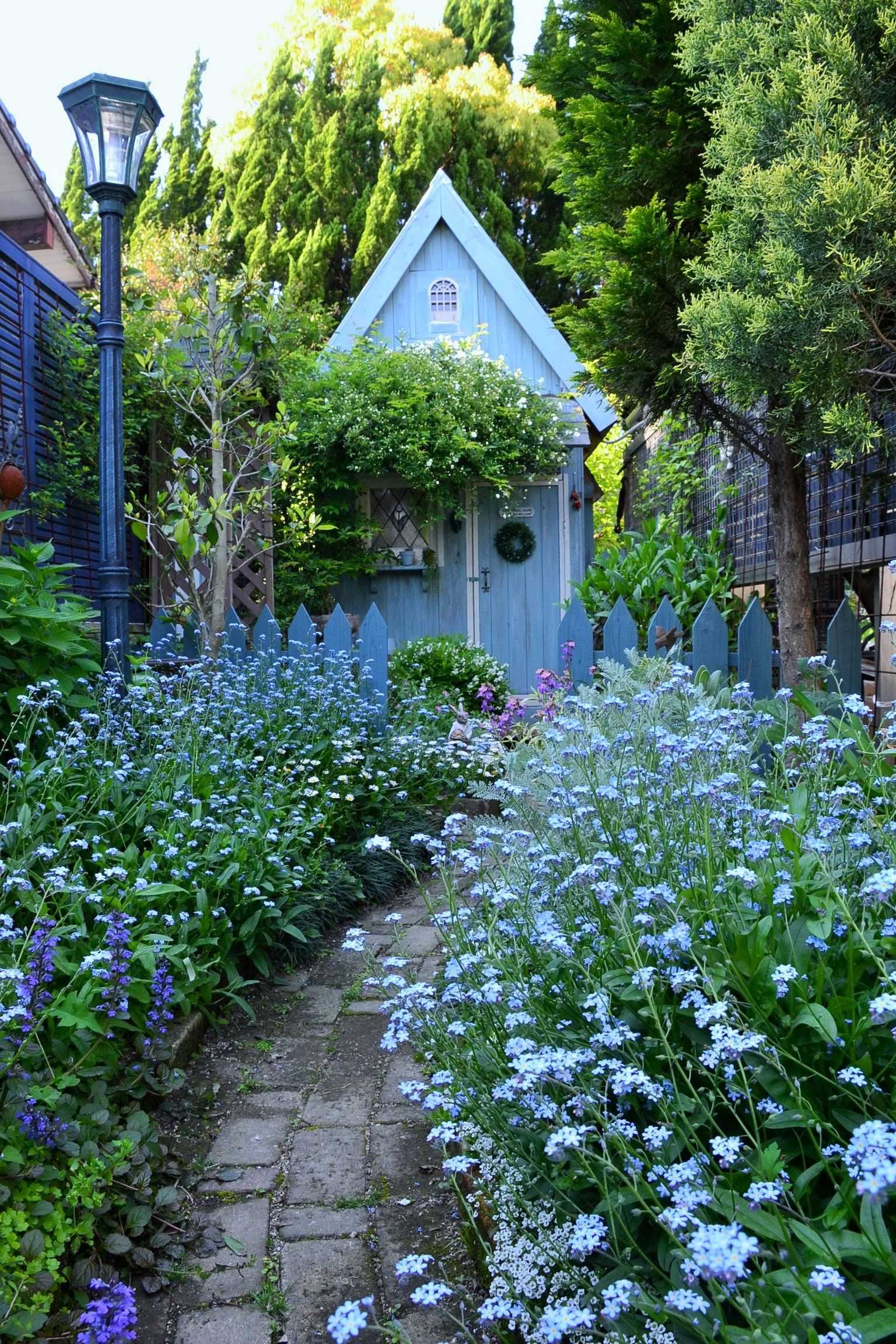 ワスレナグサの花園 | ようこそブルーガーデンへ - 楽天ブログ