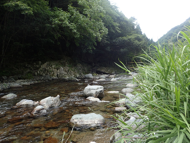 resize0007.jpg