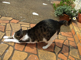 IMG_9366ss.jpg