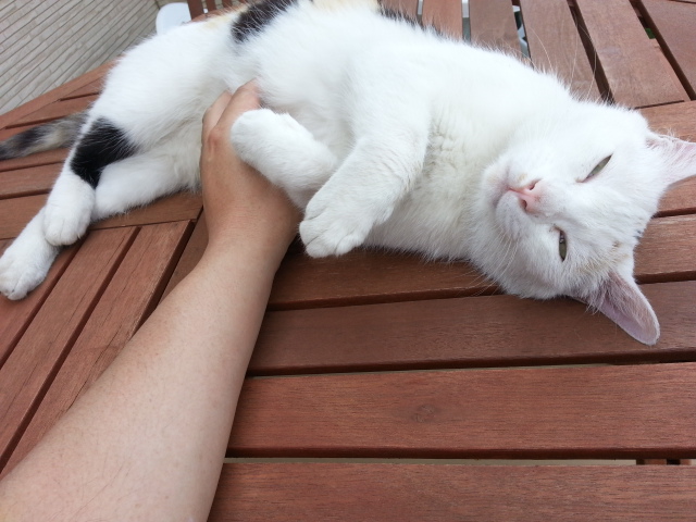 20140621_150603.jpg