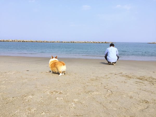 rblog-20160502000232-05.jpg