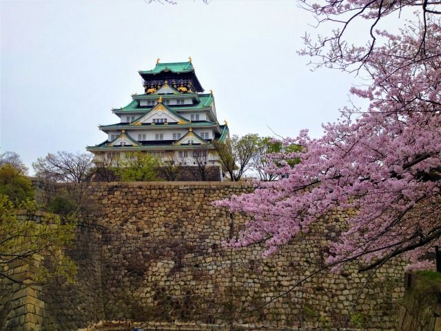 花ゆう膳 - 夫婦の休日 -