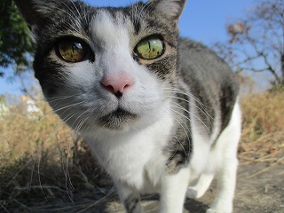 IMG_3293ss.jpg