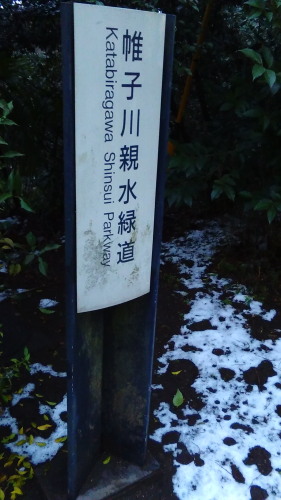 KIMG0159b20160118.jpg