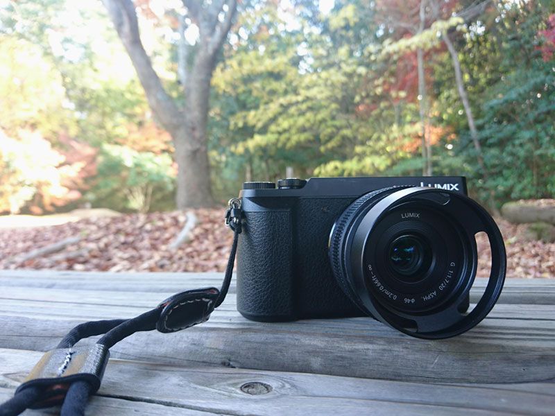 LUMIX G 20mm/F1.7 で森の中へ | ロド丸のブログ - 楽天ブログ