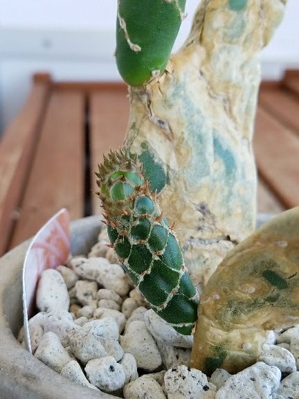 rblog-20180828115230-05.jpg