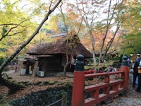 2012-11-24 11.53.30.jpg