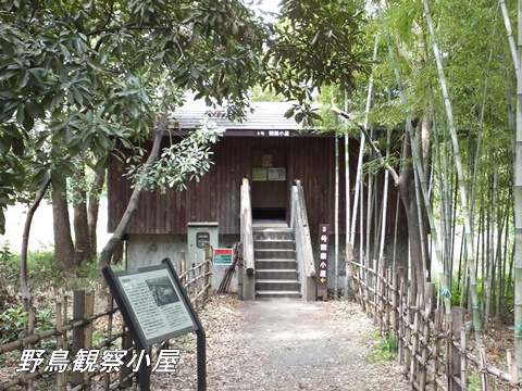 東京港野鳥公園にて