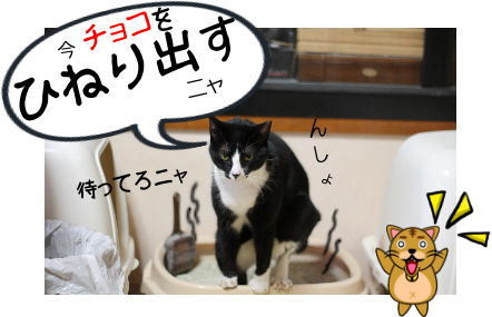 IMG_0452.png
