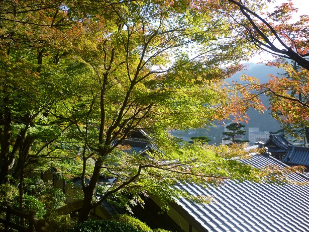P1070272.JPG