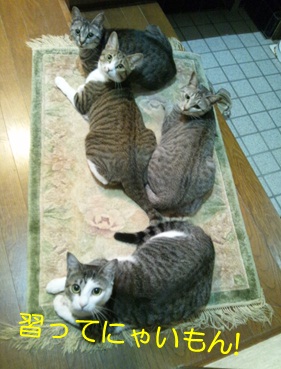 20120903_2.jpg