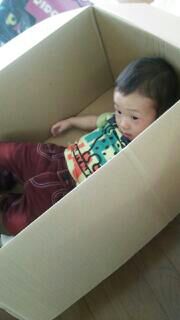 rblog-20140617150601-02.jpg