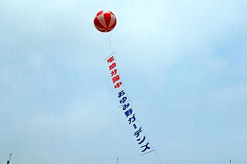 アドバルーン 耳 ミミ とチャッピの布団 楽天ブログ