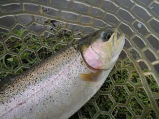 20130720_kaisei_02.jpg