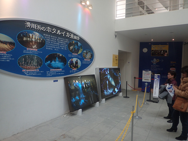 resize0005.jpg