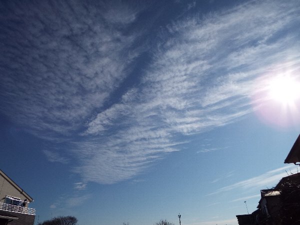 2016-01-03-空0024.JPG