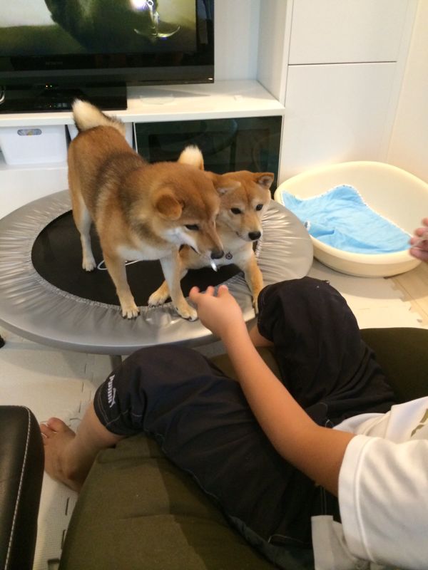 rblog-20150717210311-03.jpg