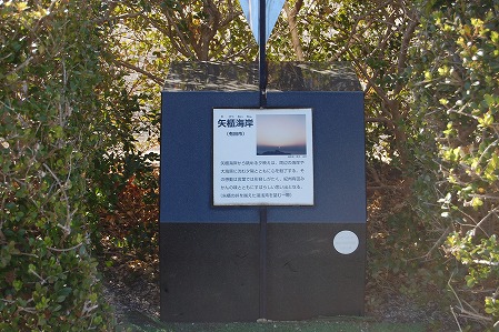 DSC_1155.jpg