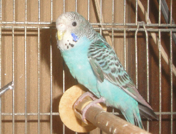 2012/12/16(2)