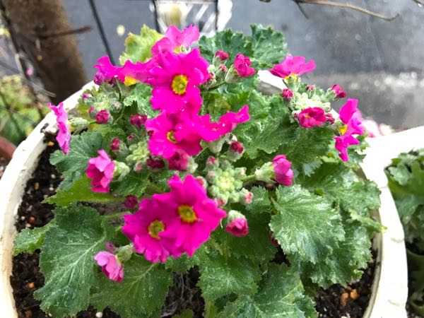 rblog-20161129162243-06.jpg