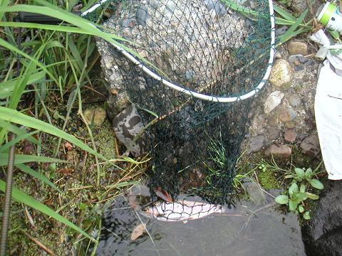 2012.09.08~09 013.jpg