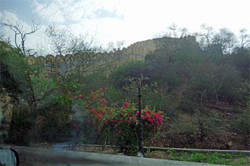 インド585.jpg