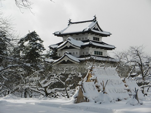 DSCN9724.jpg