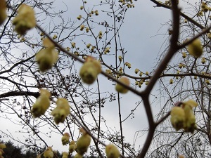 CIMG0098.JPG