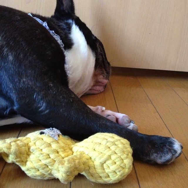 rblog-20130921170328-00.jpg