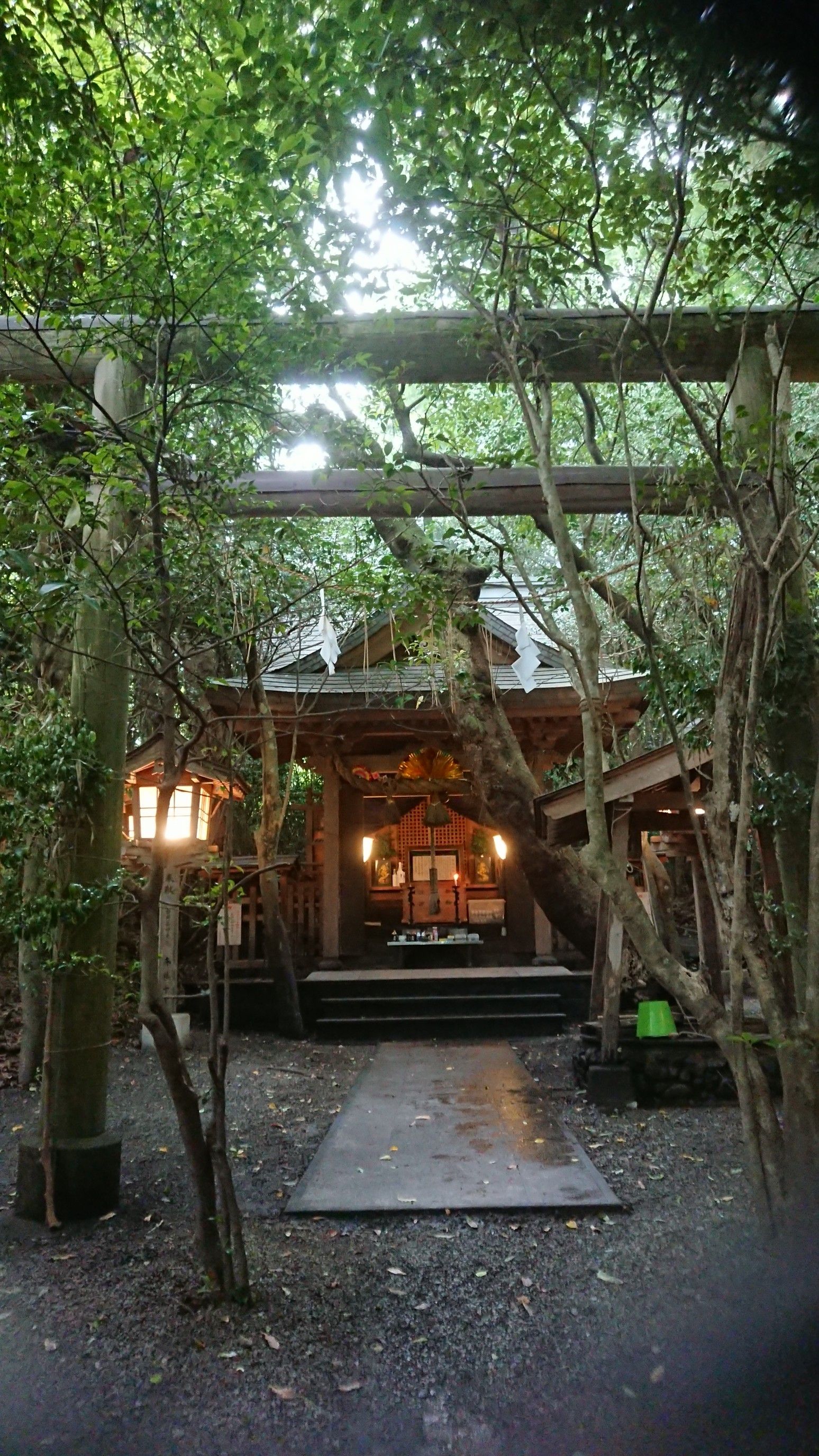 八大龍王水神写真 奉納 八大龍王の玉座 丸太工作の丸太工作 ０ ｂ 楽天ブログ