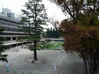 パドック (2).jpg