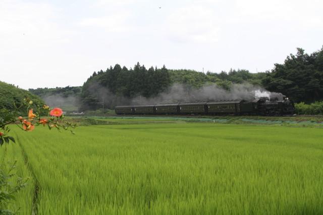 C61 東北本線を後に2