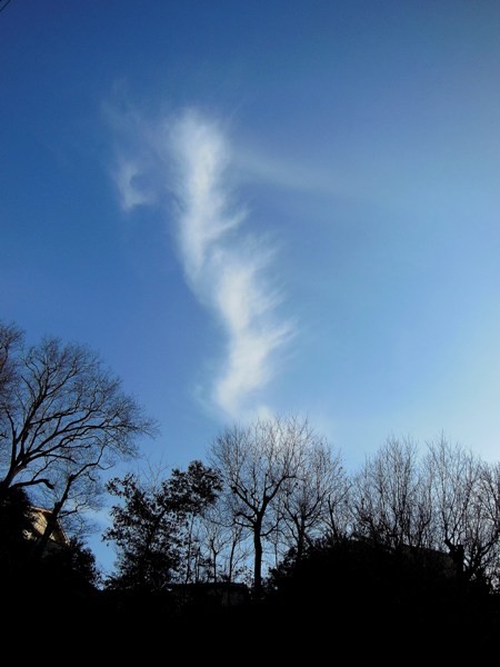 雲　5　130124.jpg