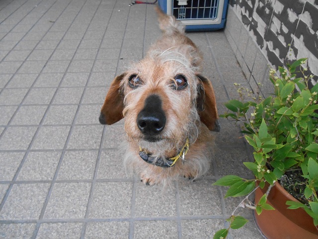 DSCN1854.JPG
