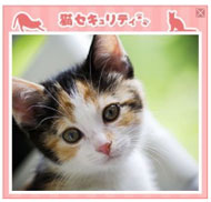 neko2