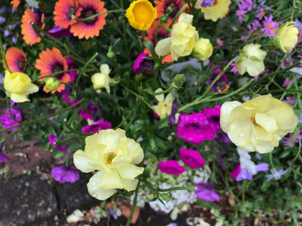rblog-20190419193545-04.jpg