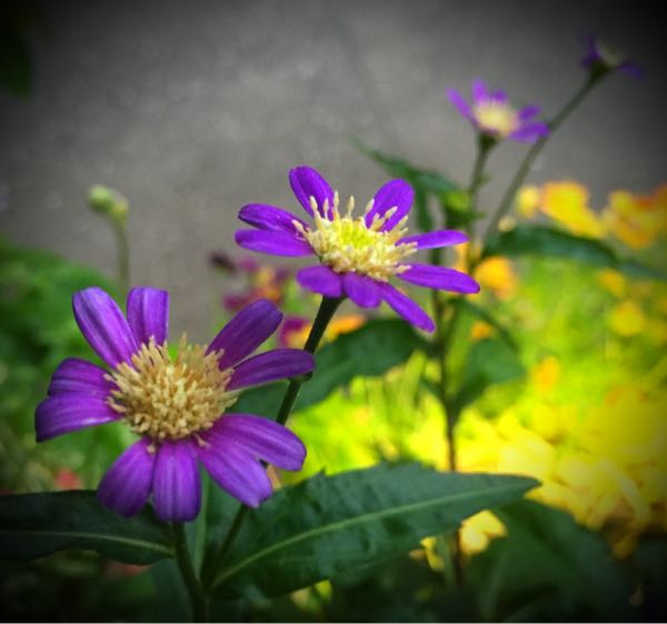 rblog-20160529204936-06.jpg