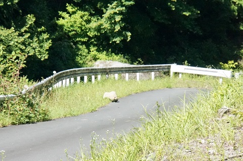 DSC07820.JPG