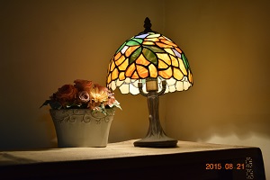 DSC_0153.JPG