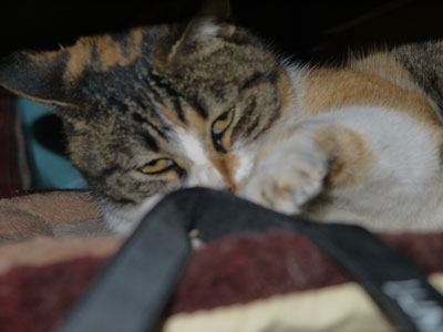P1140777.jpg