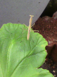 P1000262.JPG