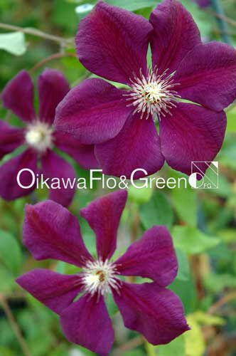 rblog-20140326090326-00.jpg