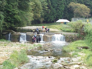 DSC_0061.jpg