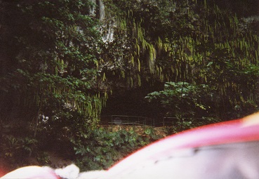 シダの洞窟