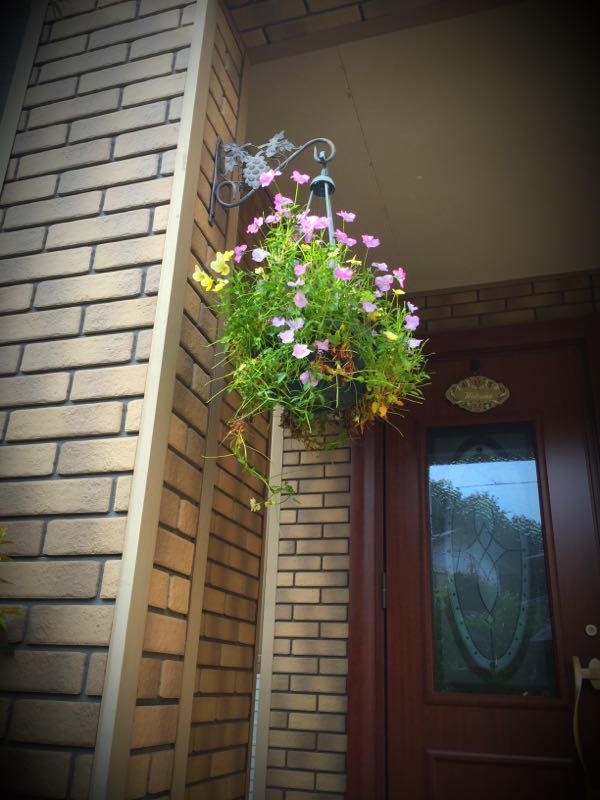 rblog-20160531203424-09.jpg