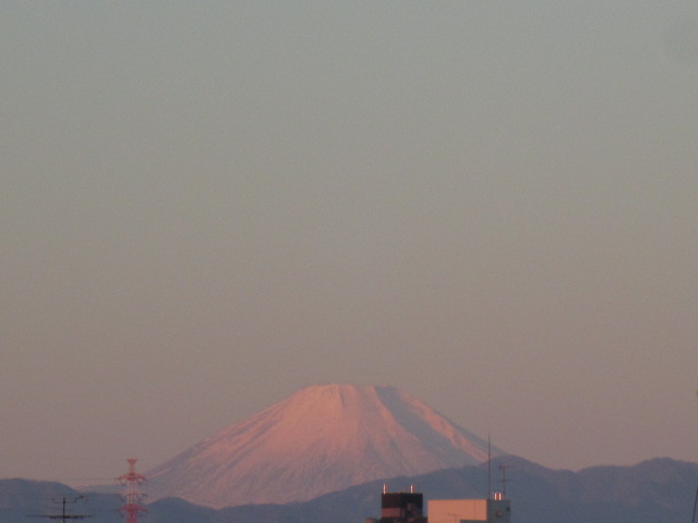 画像 36900.jpg