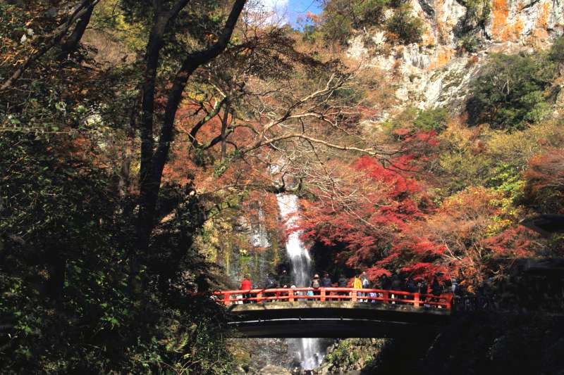 残り紅葉と大滝_006滝見橋と大滝.jpg