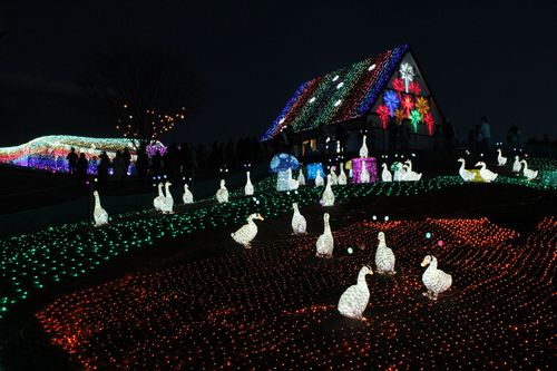 ドイツ村イルミ２.jpg