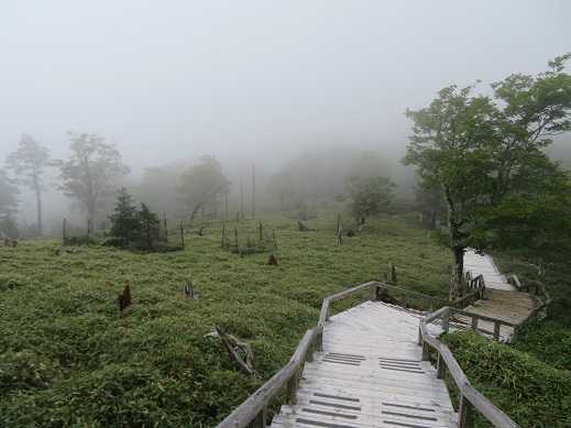 大台ケ原 日出ヶ岳（1695m） | KIKIの山行き・・・ 山と山の花 - 楽天ブログ